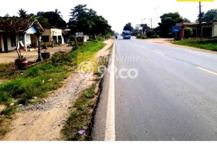 DIJUAL CEPAT! Rumah Premium area Terbanggi Besar, Lampung Tengah, Luas 2000m² Bangunan 769m² BISA KPR! DIJUAL CEPAT! Rumah Premium area Terbanggi Besar, Lampung Tengah, Luas 2000m² Bangunan 769m² BISA KPR!