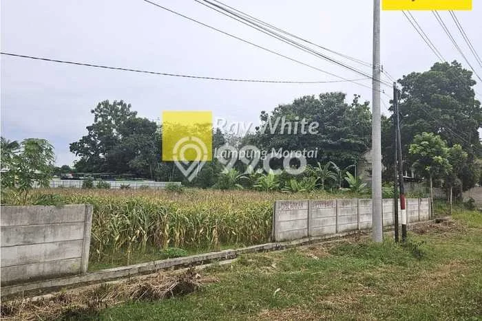 Kavling Tanah di Jati Agung Dijual Luas 1973m2 Legalitas SHM Kavling Tanah di Jati Agung Dijual Luas 1973m2 Legalitas SHM