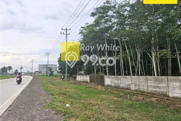Kavling Tanah di Jati Agung Dijual Luas 1973m2 Legalitas SHM Kavling Tanah di Jati Agung Dijual Luas 1973m2 Legalitas SHM