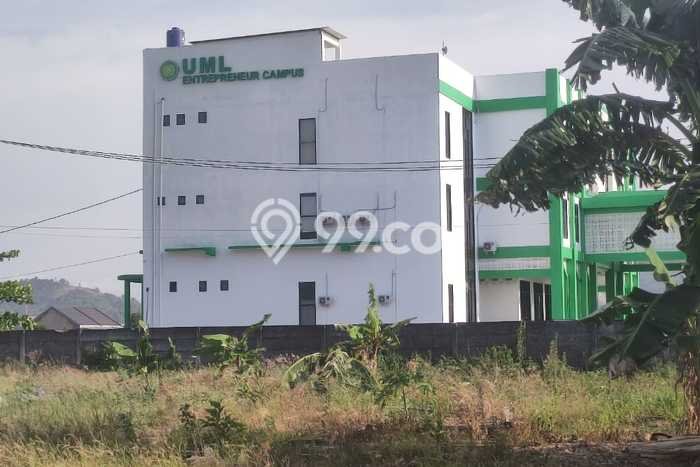 Jarang Ada! Tanah di Sukarame Punya Luas 8000m2 SHM Jarang Ada! Tanah di Sukarame Punya Luas 8000m2 SHM