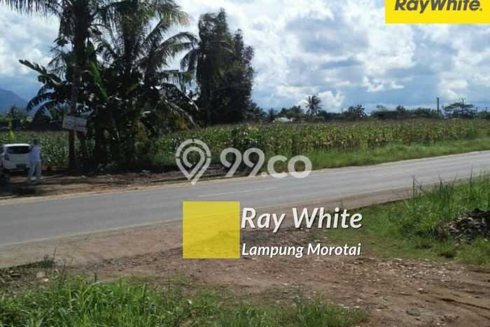 Lahan Investasi Lokasi Rajabasa Lampung Selatan SHM Lahan Investasi Lokasi Rajabasa Lampung Selatan SHM