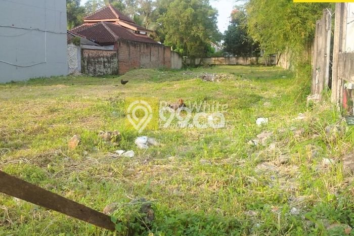 Untuk Dijual Tanah di Natar Lampung Selatan Luas 1460m2 SHM Untuk Dijual Tanah di Natar Lampung Selatan Luas 1460m2 SHM