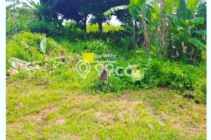 Tanah Dijual Lokasi Teluk Betung Barat, Bandar Lampung Luas 195m2 Legalitas Aman Tanah Dijual Lokasi Teluk Betung Barat, Bandar Lampung Luas 195m2 Legalitas Aman