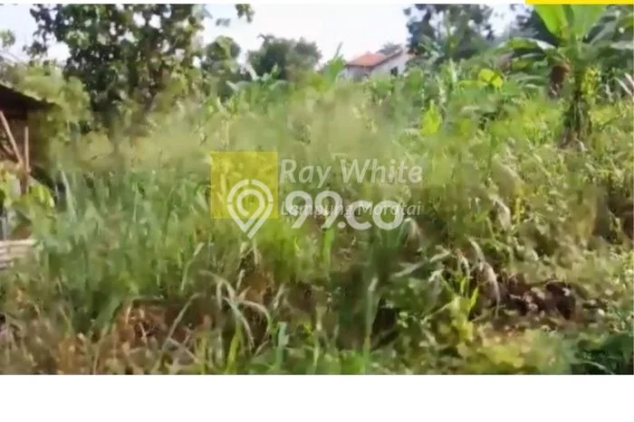 Tanah Dijual Lokasi Kemiling Bandar Lampung SHM Tanah Dijual Lokasi Kemiling Bandar Lampung SHM