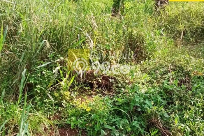 Tanah Dijual Lokasi Kemiling Bandar Lampung SHM Tanah Dijual Lokasi Kemiling Bandar Lampung SHM