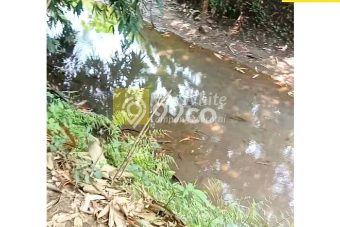 Lahan Dijual Lokasi Sidomulyo, Lampung Selatan dengan Luas Tanah 1m2 dan Status SHM Lahan Dijual Lokasi Sidomulyo, Lampung Selatan dengan Luas Tanah 1m2 dan Status SHM