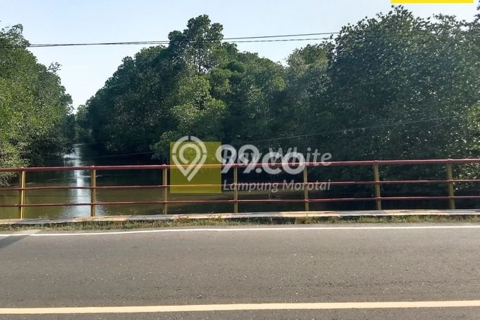 Dijual Tanah di Kalianda Lampung Selatan Luas 51m2 SHM Dijual Tanah di Kalianda Lampung Selatan Luas 51m2 SHM