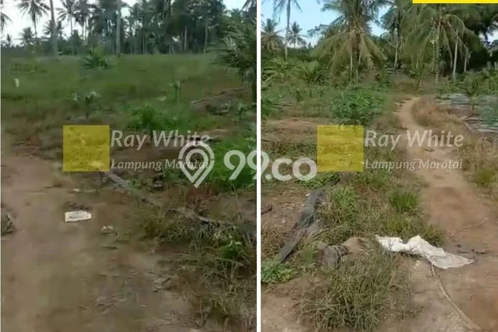 Kavling Tanah Dijual di Kalianda Lampung Selatan Spesifikasi 36m2 Kavling Tanah Dijual di Kalianda Lampung Selatan Spesifikasi 36m2