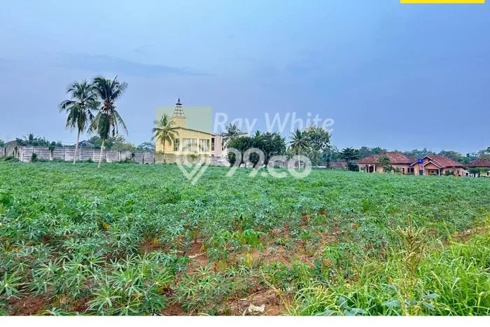 Tanah Kawasan Gunung Sugih, Luas 10m2m², Lokasi Strategis, Lingkungan Asri, Kontur Datar Tanah Kawasan Gunung Sugih, Luas 10m2m², Lokasi Strategis, Lingkungan Asri, Kontur Datar
