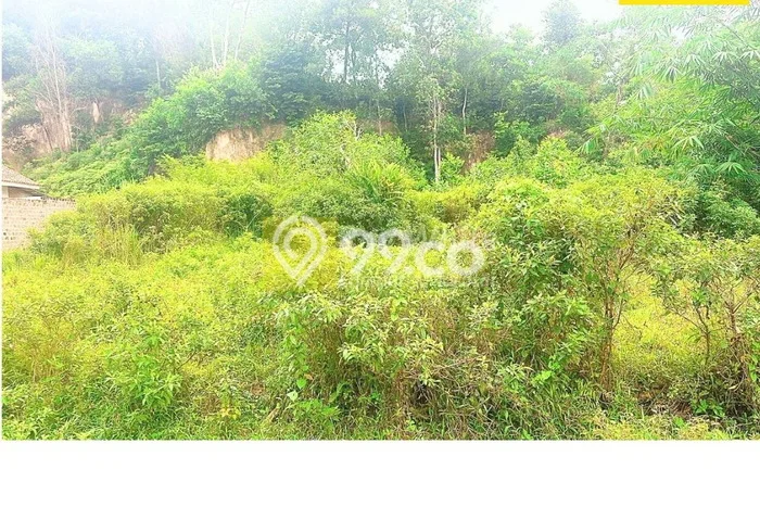 Dijual Tanah di Natar Lampung Selatan Luas 2310m2 SHM Dijual Tanah di Natar Lampung Selatan Luas 2310m2 SHM