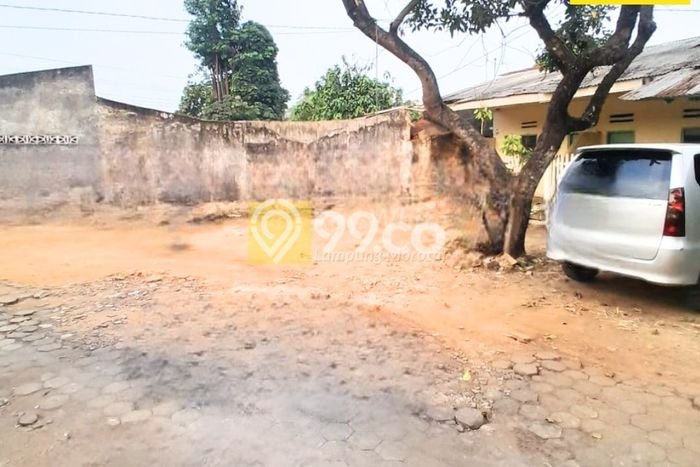 Tanah di Natar, Lampung Selatan Luas 3517m2 Dijual Segera Tanah di Natar, Lampung Selatan Luas 3517m2 Dijual Segera