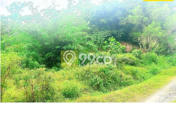 Dijual Tanah di Natar Lampung Selatan Luas 2310m2 SHM Dijual Tanah di Natar Lampung Selatan Luas 2310m2 SHM