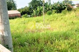 Tanah Kavling untuk Dijual di Kedaton Bandar Lampung 4980m2 Tanah Kavling untuk Dijual di Kedaton Bandar Lampung 4980m2