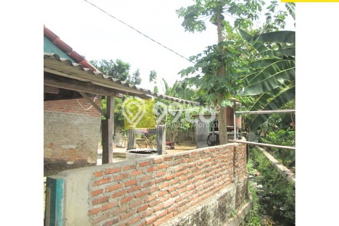 Lahan Investasi Lokasi Padang Cermin Pesawaran SHM Lahan Investasi Lokasi Padang Cermin Pesawaran SHM