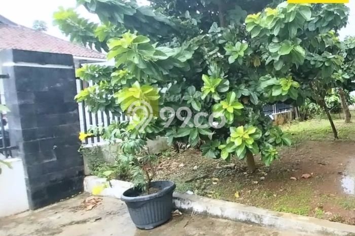 Dijual Rumah Minimalis Bagus Punya 4 KT di Sukarame Bandar Lampung SHM Dijual Rumah Minimalis Bagus Punya 4 KT di Sukarame Bandar Lampung SHM