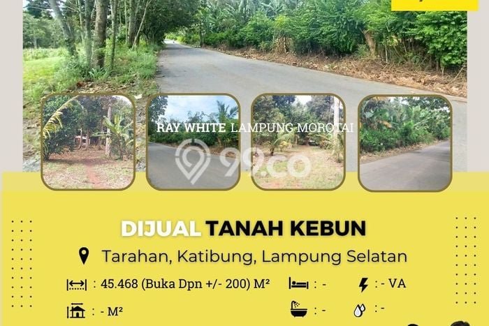 Dijual Tanah di Sidomulyo Lampung Selatan Luas 45468m2 SHM Dijual Tanah di Sidomulyo Lampung Selatan Luas 45468m2 SHM