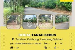 Dijual Tanah di Sidomulyo Lampung Selatan Luas 45468m2 SHM Dijual Tanah di Sidomulyo Lampung Selatan Luas 45468m2 SHM