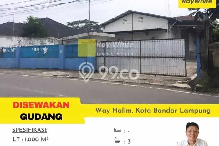 Area Strategis! Disewakan Gudang Lokasi Way Halim, Bandar Lampung Cocok untuk Bisnis Area Strategis! Disewakan Gudang Lokasi Way Halim, Bandar Lampung Cocok untuk Bisnis