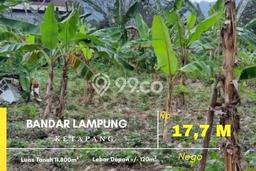 Tanah Dijual Lokasi Panjang Bandar Lampung SHM Tanah Dijual Lokasi Panjang Bandar Lampung SHM