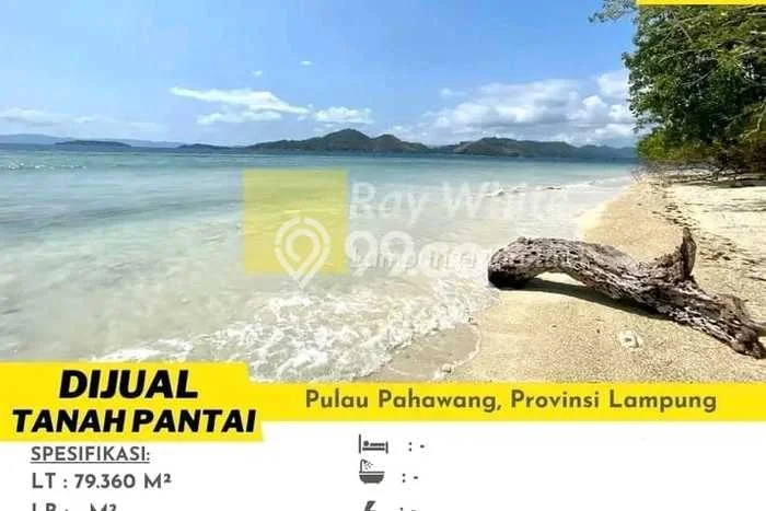 Tanah untuk Dijual Lokasi Punduh Pidada, Pesawaran Luas 79360m2 SHM Tanah untuk Dijual Lokasi Punduh Pidada, Pesawaran Luas 79360m2 SHM
