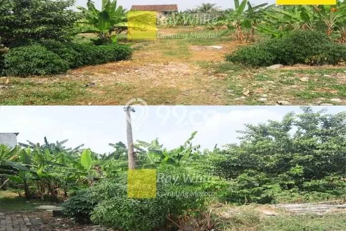 Lahan Dijual Lokasi Tanjung Karang Timur, Bandar Lampung dengan Luas Tanah 1m2 dan Status SHM Lahan Dijual Lokasi Tanjung Karang Timur, Bandar Lampung dengan Luas Tanah 1m2 dan Status SHM