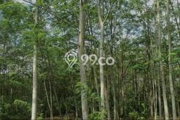 Tanah Strategis Dijual di Tanjung Karang Pusat Bandar Lampung 14000m2 Tanah Strategis Dijual di Tanjung Karang Pusat Bandar Lampung 14000m2