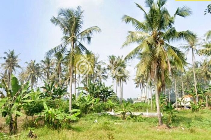 Kavling Tanah Dijual di Jati Agung Lampung Selatan Spesifikasi 9260m2 Kavling Tanah Dijual di Jati Agung Lampung Selatan Spesifikasi 9260m2