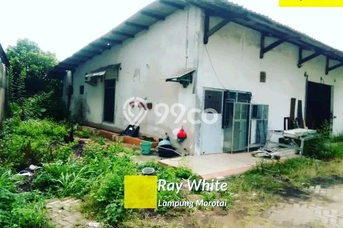 Tanah Dijual Lokasi Tanjung Karang Timur, Bandar Lampung Luas 2433m2 Legalitas Aman Tanah Dijual Lokasi Tanjung Karang Timur, Bandar Lampung Luas 2433m2 Legalitas Aman