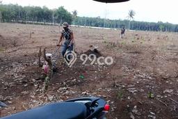 Kavling Tanah di Natar Dijual Luas 31000m2 Legalitas SHM Kavling Tanah di Natar Dijual Luas 31000m2 Legalitas SHM