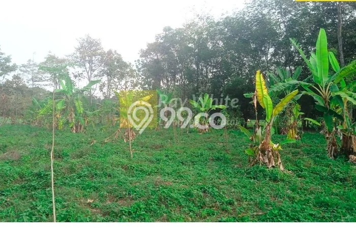 Tanah di Tanjung Bintang, Lampung Selatan Luas 3974m2 Dijual Segera Tanah di Tanjung Bintang, Lampung Selatan Luas 3974m2 Dijual Segera