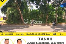 Untuk Dijual Tanah di Way Halim Bandar Lampung Luas 2240m2 SHM Untuk Dijual Tanah di Way Halim Bandar Lampung Luas 2240m2 SHM