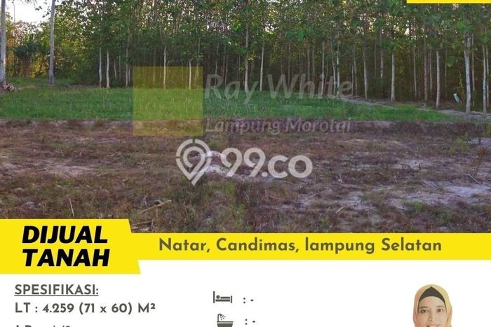 Tanah untuk Dijual Lokasi Natar, Lampung Selatan Luas 4239m2 SHM Tanah untuk Dijual Lokasi Natar, Lampung Selatan Luas 4239m2 SHM