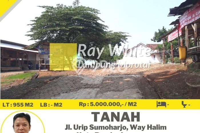 Lahan untuk Dijual Lokasi Way Halim, Bandar Lampung Luas 955m2 SHM Lahan untuk Dijual Lokasi Way Halim, Bandar Lampung Luas 955m2 SHM