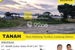 Lahan untuk Dijual di Kalianda Lampung Selatan Luas 20000m2 Lahan untuk Dijual di Kalianda Lampung Selatan Luas 20000m2