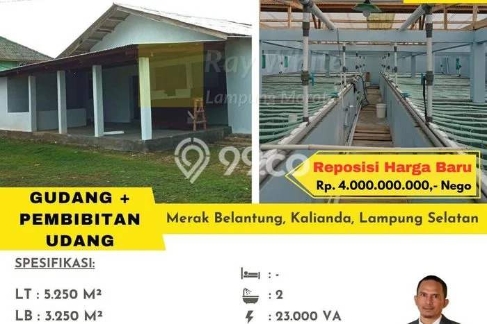 Siap Huni Hunian Elit 3 Kamar di Kalianda Dekat ke Mana Saja Siap Huni Hunian Elit 3 Kamar di Kalianda Dekat ke Mana Saja