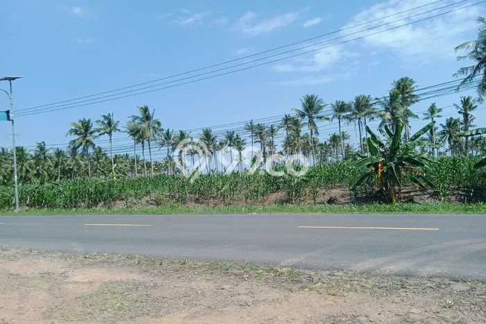 Lahan Kosong Dijual di Kalianda, Lampung Selatan, Luas 31000m2 Area Strategis Lahan Kosong Dijual di Kalianda, Lampung Selatan, Luas 31000m2 Area Strategis