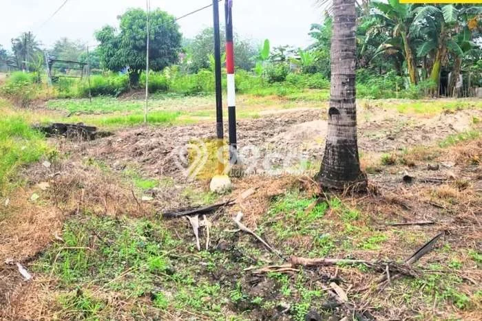 Tanah Kavling untuk Dijual di Natar Lampung Selatan 18473m2 Tanah Kavling untuk Dijual di Natar Lampung Selatan 18473m2