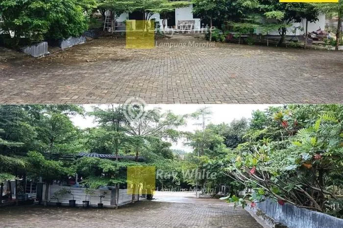 Tanah Dijual Lokasi Sidomulyo, Lampung Selatan Luas 47342m2 Legalitas Aman Tanah Dijual Lokasi Sidomulyo, Lampung Selatan Luas 47342m2 Legalitas Aman