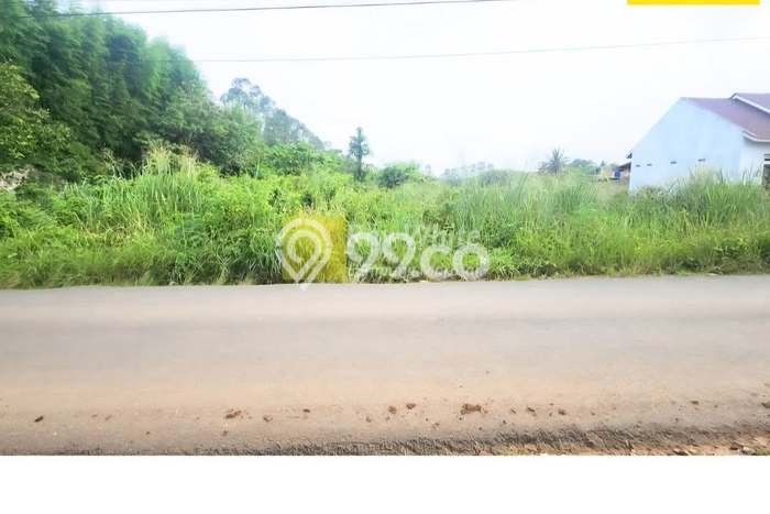 Tanah di Natar, Lampung Selatan Luas 4840m2 Dijual Segera Tanah di Natar, Lampung Selatan Luas 4840m2 Dijual Segera