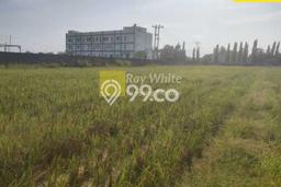 Tanah Area Berkembang di Sukarame, Luas 8000m2m², Dekat ke Pusat Kota Tanah Area Berkembang di Sukarame, Luas 8000m2m², Dekat ke Pusat Kota