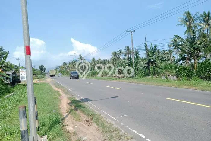 Lahan Kosong Dijual di Kalianda, Lampung Selatan, Luas 31000m2 Area Strategis Lahan Kosong Dijual di Kalianda, Lampung Selatan, Luas 31000m2 Area Strategis