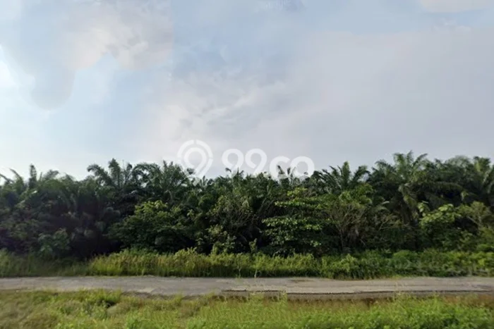 Tanah Kavling di Jati Agung Dijual dengan Luas 6120m2 Tanah Kavling di Jati Agung Dijual dengan Luas 6120m2