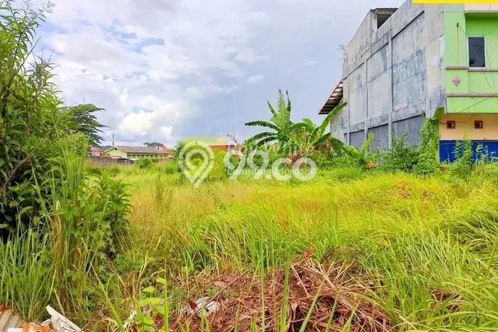 Kavling Tanah Disewakan di Tanjung Karang Timur Bandar Lampung Luas 2000m2 Strategis Kavling Tanah Disewakan di Tanjung Karang Timur Bandar Lampung Luas 2000m2 Strategis