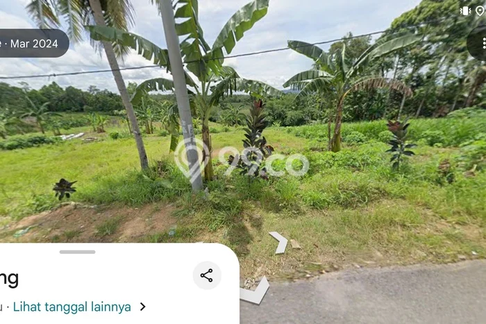 Tanah untuk Dijual Lokasi Tanjung Bintang, Lampung Selatan Luas 16000m2 SHM Tanah untuk Dijual Lokasi Tanjung Bintang, Lampung Selatan Luas 16000m2 SHM