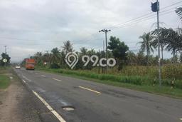 Lahan Kosong Dijual di Kalianda, Lampung Selatan, Luas 30100m2 Area Strategis Lahan Kosong Dijual di Kalianda, Lampung Selatan, Luas 30100m2 Area Strategis