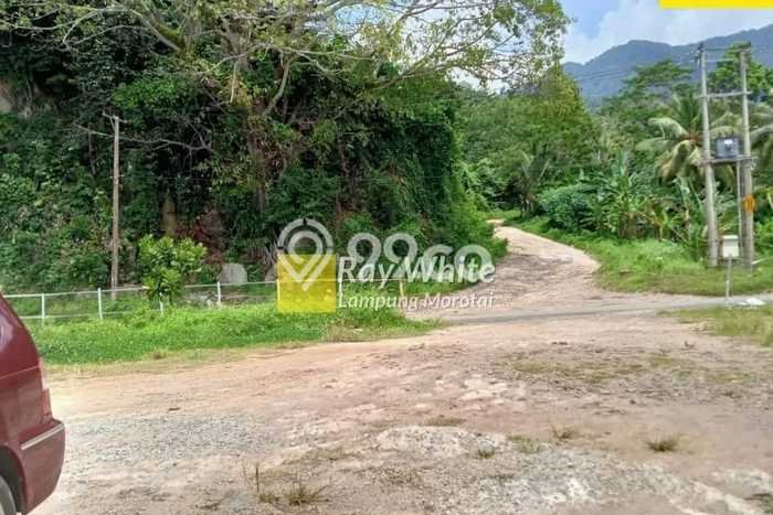 Tanah Dijual Lokasi Kalianda, Lampung Selatan dengan Luas Tanah 470000m2 dan Status SHM Tanah Dijual Lokasi Kalianda, Lampung Selatan dengan Luas Tanah 470000m2 dan Status SHM