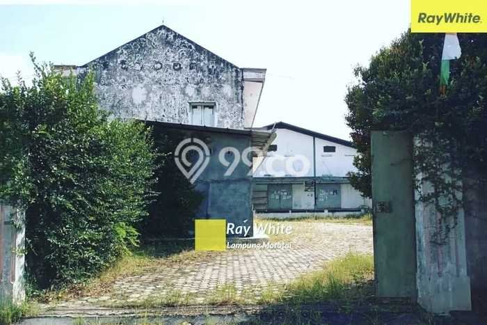 FOR RENT! Pabrik di Pringsewu Cocok untuk Bisnis 300m2 FOR RENT! Pabrik di Pringsewu Cocok untuk Bisnis 300m2