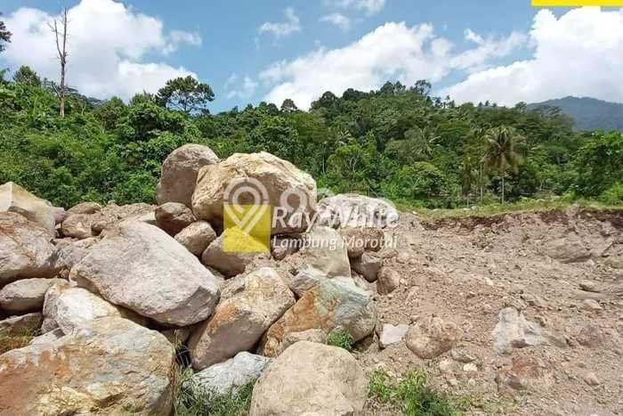 Tanah Dijual Lokasi Kalianda, Lampung Selatan dengan Luas Tanah 470000m2 dan Status SHM Tanah Dijual Lokasi Kalianda, Lampung Selatan dengan Luas Tanah 470000m2 dan Status SHM
