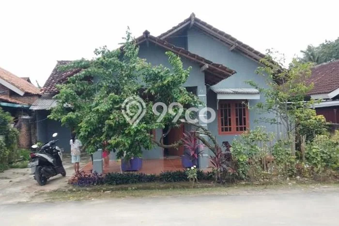 Jual Rumah Harga Miring Tanjung Senang Punya 4 Kamar & LT 225m2 Jual Rumah Harga Miring Tanjung Senang Punya 4 Kamar & LT 225m2