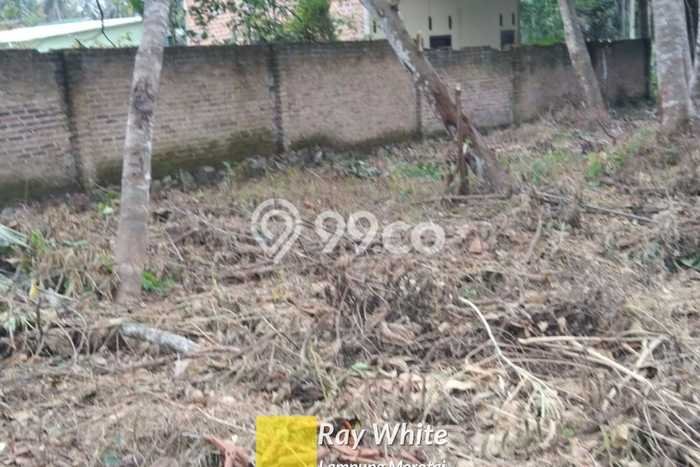 Tanah Dijual Lokasi Tanjung Bintang, Lampung Selatan Luas 4175m2 Legalitas Aman Tanah Dijual Lokasi Tanjung Bintang, Lampung Selatan Luas 4175m2 Legalitas Aman